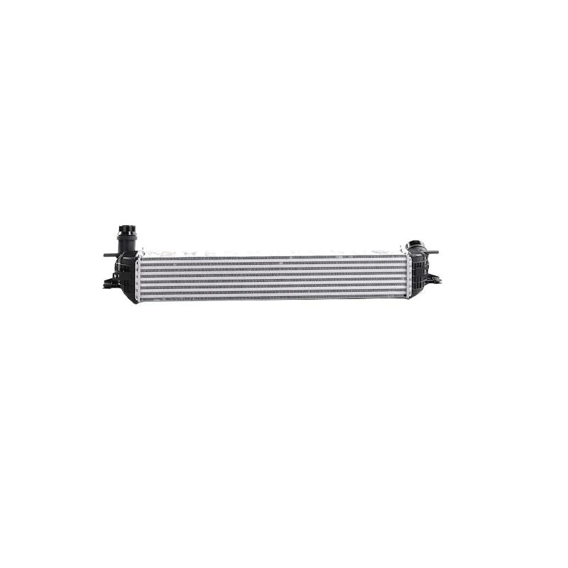 Front RENAULT DACIA - COOLER AIR SUPER C - 144610001N