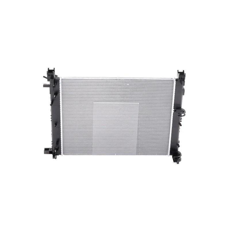 Front RENAULT DACIA - 214100055R - RADIATOR
