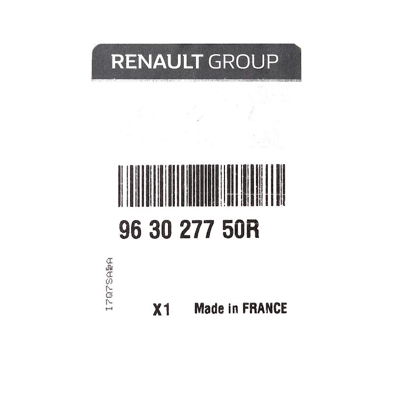 Front RENAULT DACIA - EXTERIOR MIRROR LH - 963027750R