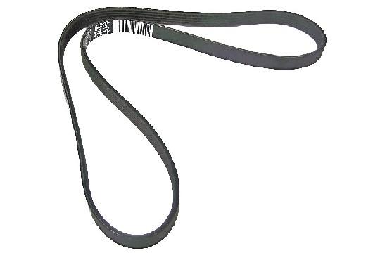 FIAT GROUP - V-Ribbed Belt 55232450 - 55232450